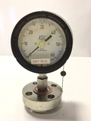 AMETEK U.S. Pressure Gauge Assembly 0–60 PSI Liquid Filled Diaphragm Seal