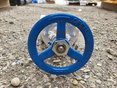 2" Class 300 Gate Valve B16.34