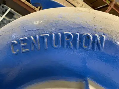 CENTURION Series Horizontal Split Case Pump C94781