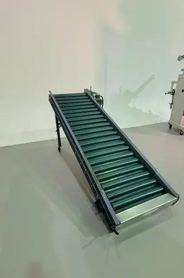 Complete 8' Northwest Conveyor Bagging Line