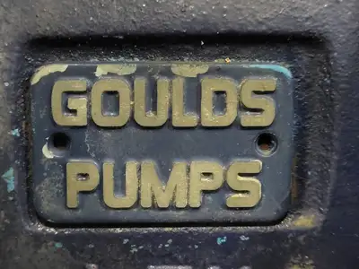 USED GOULDS 3196