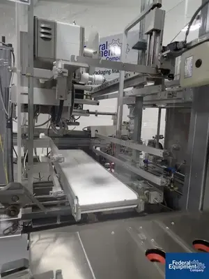 USED Skinetta Skinetta Case Packer, Model CP145
