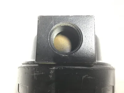 MP Master Pneumatic Detroit Inc RS 100-4 Silencer Reclassifier 125°F