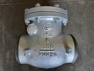 6" Class 150 Check Valve B16.34