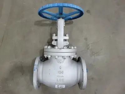 6" Class 150 Globe Valve API 624
