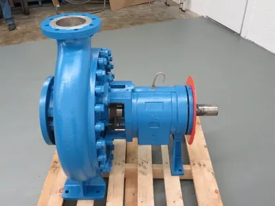USED Goulds 3180