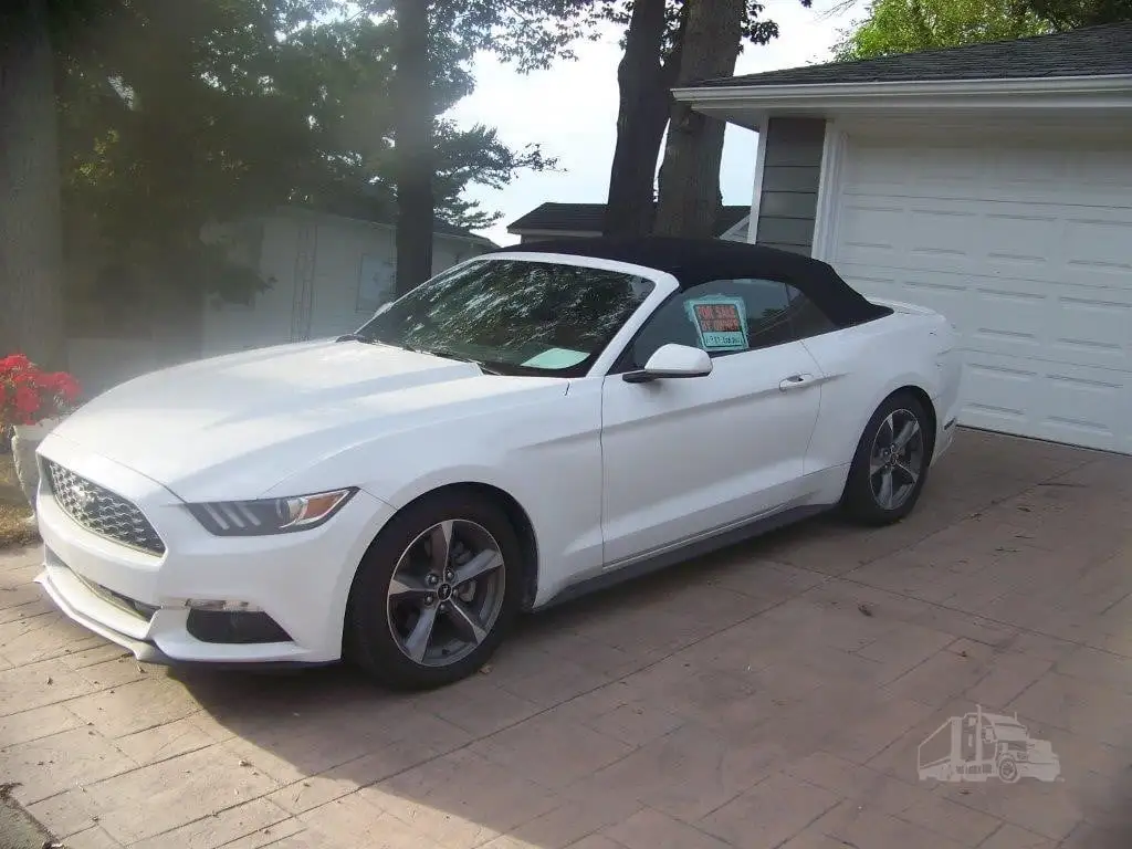 Used FORD MUSTANG Cars Michigan US | NAS Sales #1557820