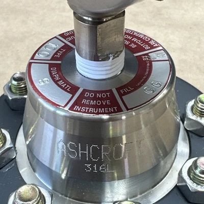 NEW Ashcroft 50-100SS-02T-X-CG-YT