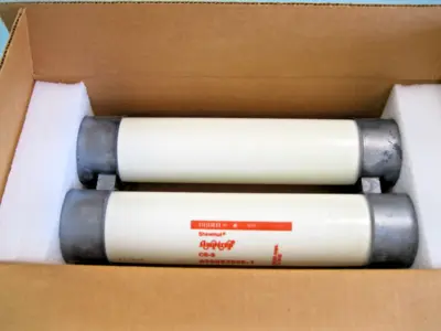 NEW Gould Shawmut A550X250E-1