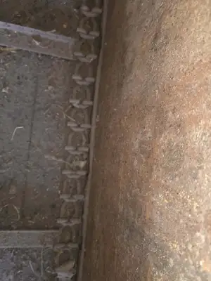 NEW HOLLAND 165 Manure Spreaders | Iron Listing (36)