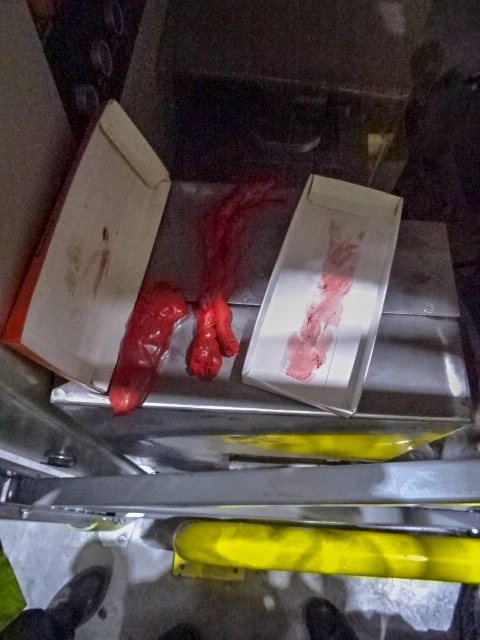 Samfull S/S extruder with horizontal form fill and sealer