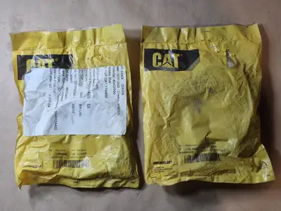 NEW 2020 CAT 174-4895