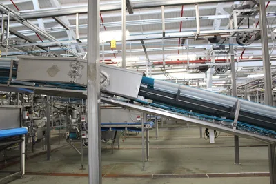 Filler Hopper Conveyor Feed 1