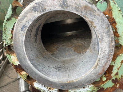 Bird Escher Wyss Pressure Screen Model 400 Stainless