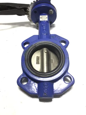 Bi-Torq CI CF8M Stainless Steel Butterfly Valve