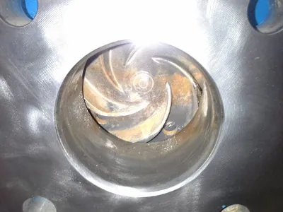USED Goulds 3196 MTX