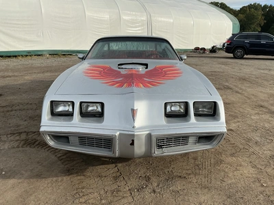 Used 1979 PONTIAC TRANS-AM Classic Cars & Trucks Michigan US | Miedema Asset Management Group #1484147