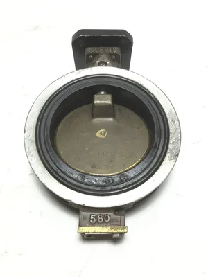 Norriseal R2000 Butterfly Valve 5″