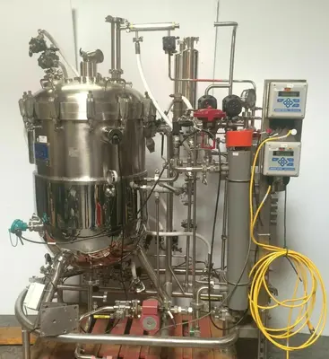 LSL BioLafitte Does Not Apply Bioreactors & Fermenters | Amiron Machinery (1)