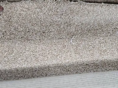 10 -  Rolls of Misc. Carpet Remnants - Approx. 1740 sq. ft