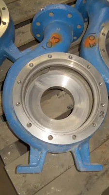 USED Goulds 3196