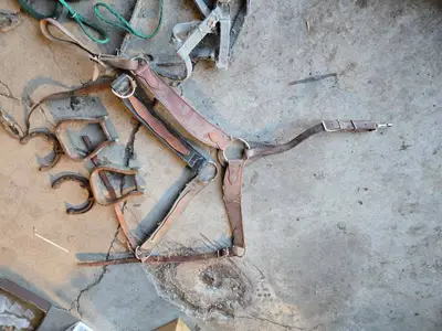 Vintage Western Saddle and Tack Set including Saddle, Stirrups, Reins, and Rope