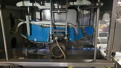 USED 2010 SORMAC USM-XS100