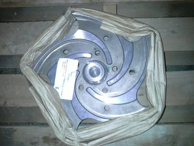 USED Goulds 3196