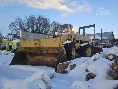 Used INTERNATIONAL 560A Wheel Loaders Colorado US | ABN Services #1339224