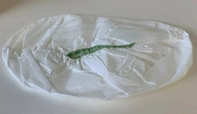 Disposable Shoe Covers White (Large Lot 12 Of These Are Non Slip) Size ?