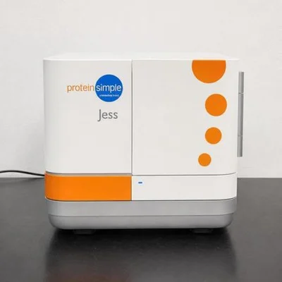 Used PROTEINSIMPLE JESS Electrophoresis New Jersey US | Bionex Scientific LLC #800230