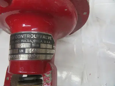 Used BADGER METER 1002GCN36CV0PBLN36 Valves/Fittings Texas US | Aucto #1307049