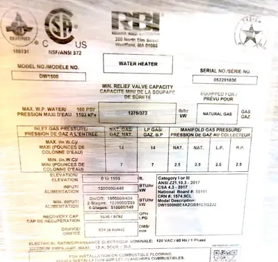 Unused RBI Dominator DW1500 Two-Stage Water Heater – 1500 MBH, Natural Gas