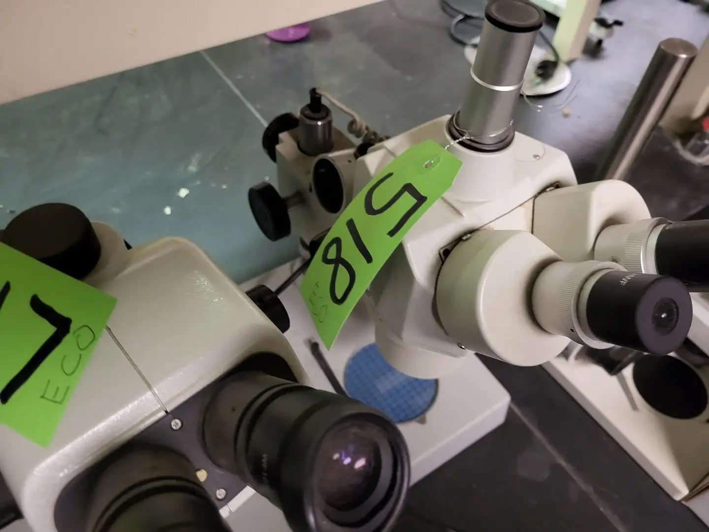 STEREOMASTER Binocular Microscope