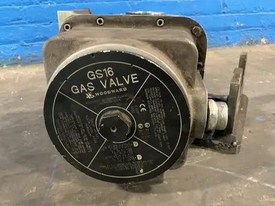 Used WOODWARD GS16 / 9907573 Pumps Ohio US | HGR 24 #1460644