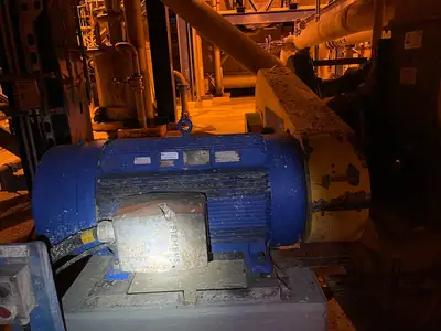 Clove-Rotor Thick Stock Pump w/ 200HP, 575V, 1185RPM Electric Motor