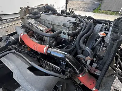 Used 2019 ISUZU NQR Reefer Trucks Florida US | Truck and Van Outlet #1509194