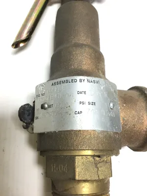 Kunkle 60100EEM01 AM Bronze Relief Valve 3/4NPT 125 PSI B283C485