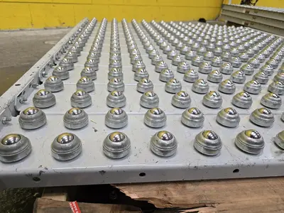 Used HYTROL ROLLER BALL TRANSFER  CONVEYOR Roller Conveyors Wisconsin US | Packer City Sales #1298025