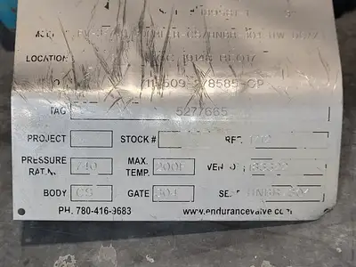 USED ENDURANCE VALVE FV-3-740-300RF-R-CS/HNBR-304-HW-DC/X