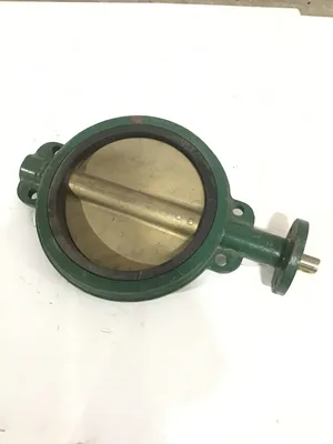 Stockham LG129 Butterfly Valve 4″