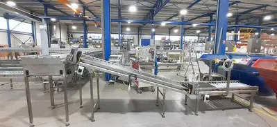 USED 2022 PATTYN PACKAGING LINES MTM12