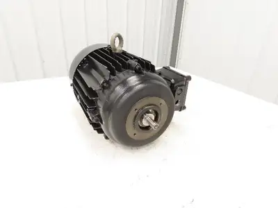 Brinkmann ZT112130-MF+024 Immersion Pump Motor Only 5.4Hp 3450rpm 400V 3PH