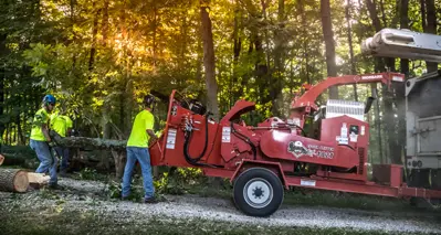 MORBARK Eeeger Beever 1821 Eeger Beever Brush Chippers | Iron Listing (1)