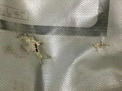 USED EMI SB2416645