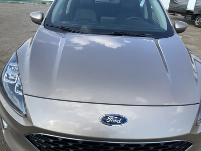 Used 2020 FORD ESCAPE HYBRID SUVs Michigan US | Miedema Asset Management Group #1761503