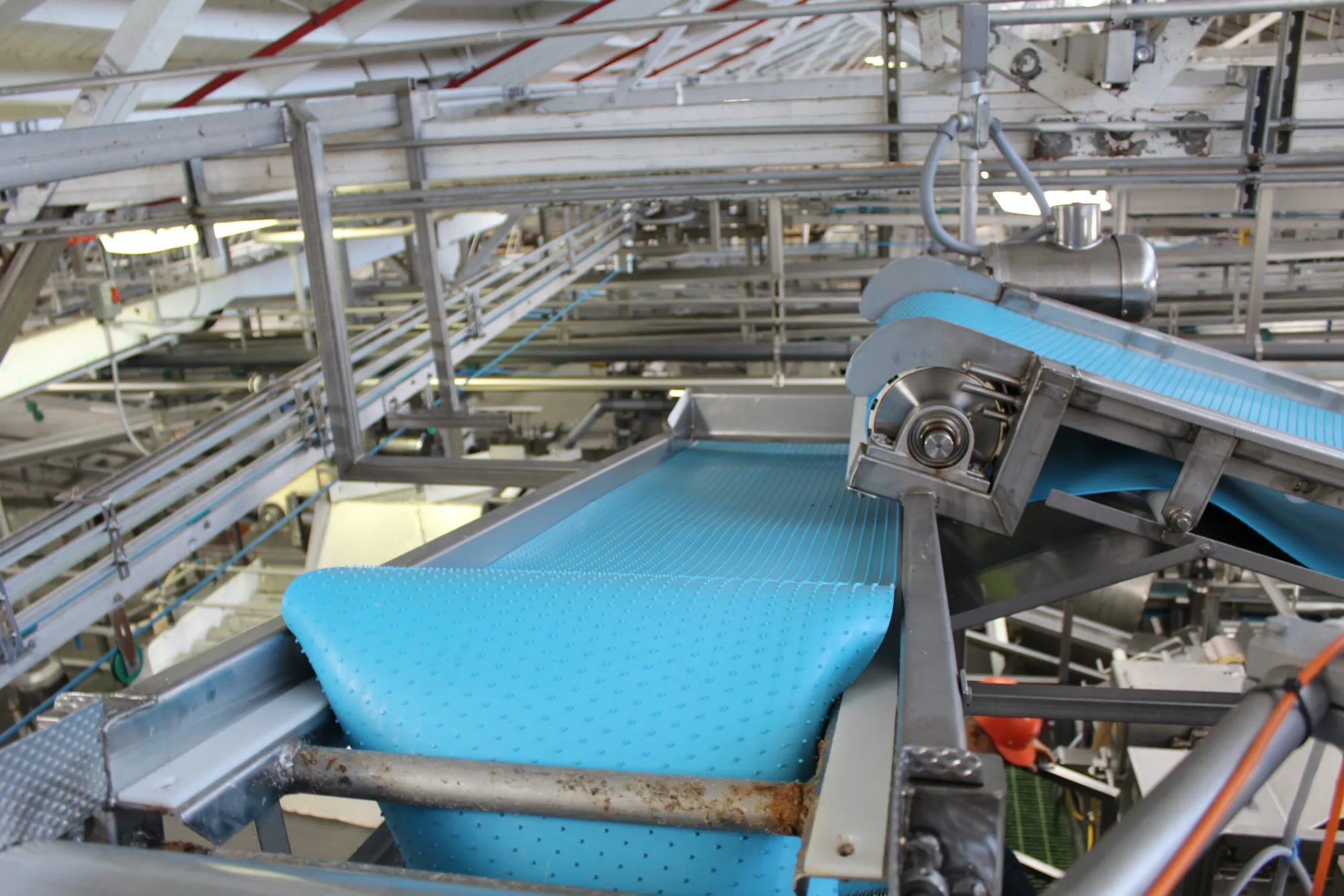 Filler Hopper Conveyor Feed 3