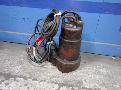 Used DAYTON 3BB71 Pumps Ohio US | HGR 24 #870879