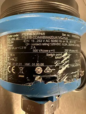 Endress+Hauser FTL51B / FTL51B-3CFP4/0 / FTL51B-CCA4ABIAA2DJA1VCJ (7.4.5)
