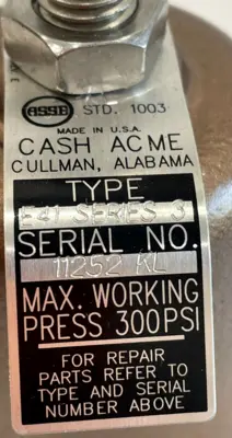 NEW CASH VALVE E-41 PRESSURE REGULATOR 1 NPT 20-70 PSIG SER. 3 E41